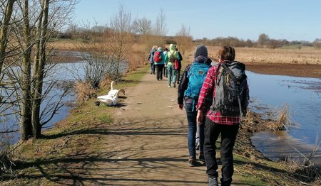 Frauen gehen hintereinander auf einem Weg 
