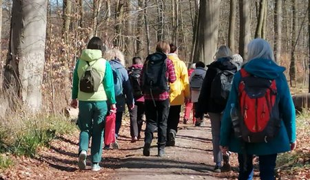 Frauen gehen auf einem Waldweg