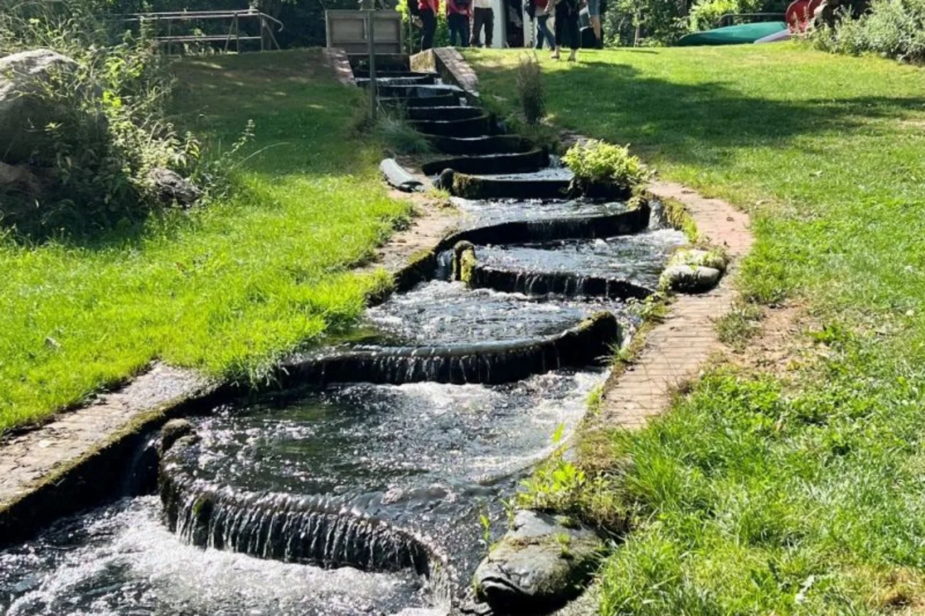 Wirlpool (Fischtreppe)