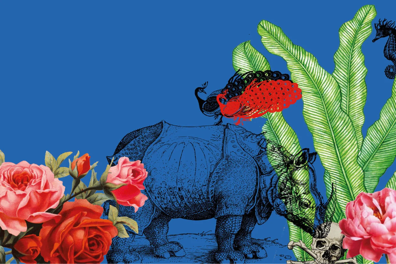 bunte Blumen, Nashornzeichnung