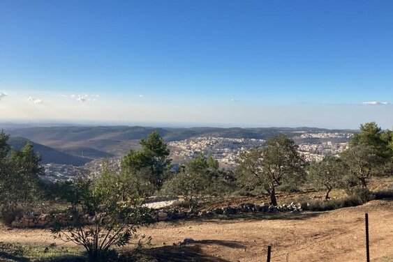 Unterwegs- Blick ins Jordantal auf die Olivenhaine - Copyright: Dr. Ute Thyen