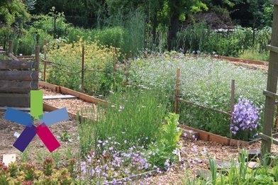 Garten mit Gemüse-und Blumenbeeten - Copyright: Andrea Heistinger