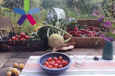 Gemüse und Obst in Schalen und Körben auf dem Tisch - Copyright: Regina Thomsen