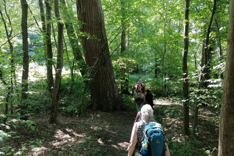 Menschen auf einem Waldweg