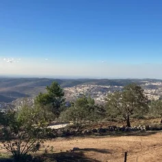 Unterwegs- Blick ins Jordantal auf die Olivenhaine