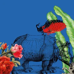 bunte Blumen, Nashornzeichnung